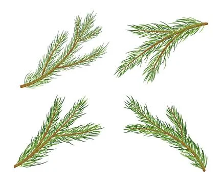 Pine Tree Branches. Vector Cartoon Set isolated on white Stock Illustration