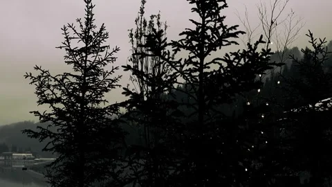 Pine tree Christmas mood garland lights in dark key. Moody shot Stock Footage 308599556