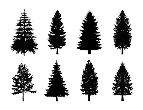 Pine Tree Collection Ilustración de archivo