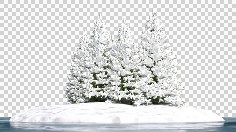 Pine tree covered in snow on small island surrounded by frozen lake Stock Photos