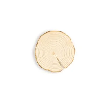 Pine tree cross-section with annual rings on white background. Lumber piece Stock Photos