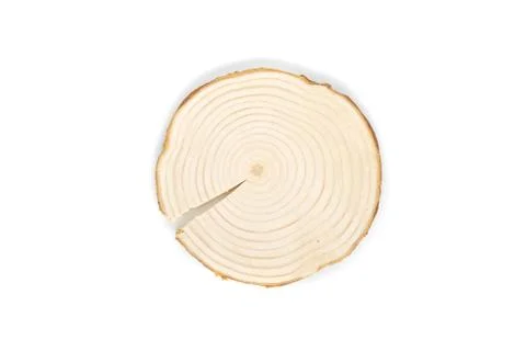 Pine tree cross-section with annual rings on white background. Lumber piece Stock Photos