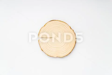 Pine tree cross-section with annual rings on white background. Lumber piece Stock Photos