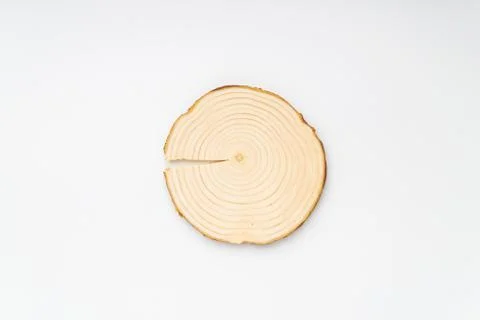 Pine tree cross-section with annual rings on white background. Lumber piece Stock Photos