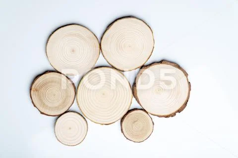 Pine tree cross-sections with annual rings on white background. Lumber piece Stock Photos