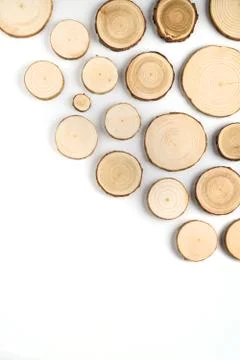 Pine tree cross-sections with annual rings on white background. Lumber piece Stock Photos