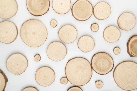 Pine tree cross-sections with annual rings on white background. Lumber piece Stock Photos