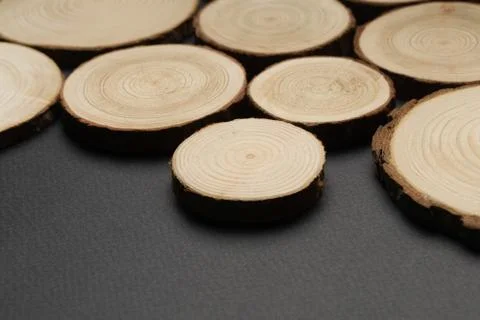 Pine tree cross-sections with annual rings on plane black surface. Lumber piece Stock Photos