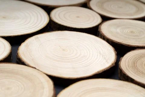 Pine tree cross-sections with annual rings on plane black surface. Lumber piece Stock Photos