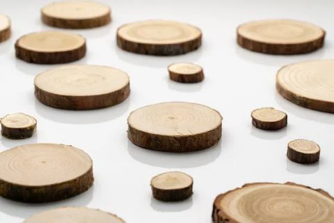 Pine tree cross-sections with annual rings on plane white surface. Lumber piece Stock Photos