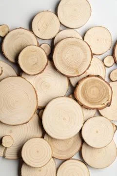 Pine tree cross-sections with annual rings on white background. Lumber piece Stock Photos