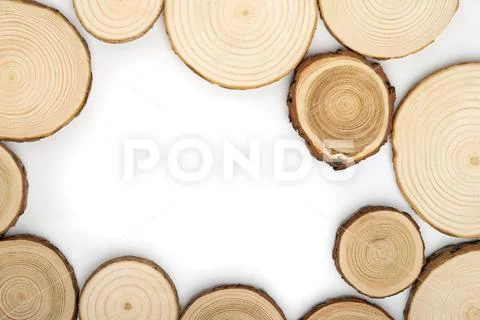 Pine tree cross-sections with annual rings on white background. Lumber piece Stock Photos
