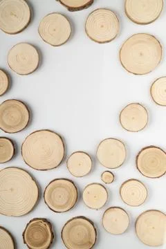 Pine tree cross-sections with annual rings on white background. Lumber piece Stock Photos