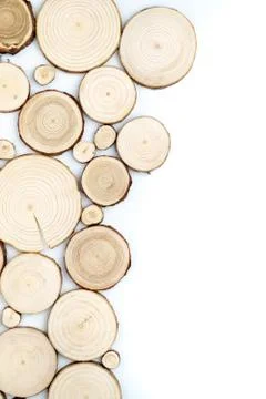 Pine tree cross-sections with annual rings on white background. Lumber piece Stock Photos