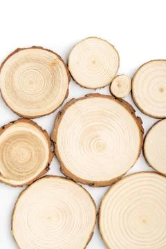 Pine tree cross-sections with annual rings on white background. Lumber piece Stock Photos