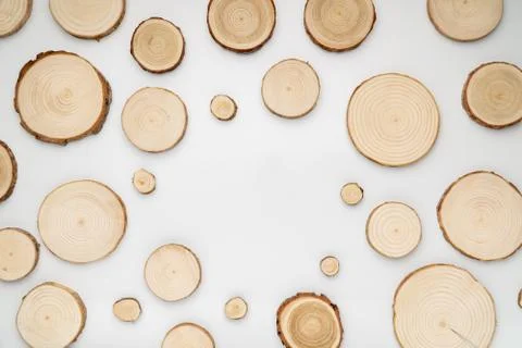 Pine tree cross-sections with annual rings on white background. Lumber piece Stock Photos