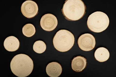 Pine tree cross-sections with annual rings on black background. Lumber piece Stock Photos
