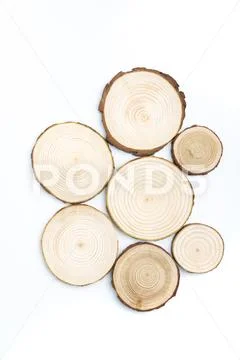 Pine tree cross-sections with annual rings on white background. Lumber piece Stock Photos