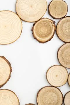 Pine tree cross-sections with annual rings on white background. Lumber piece Stock Photos