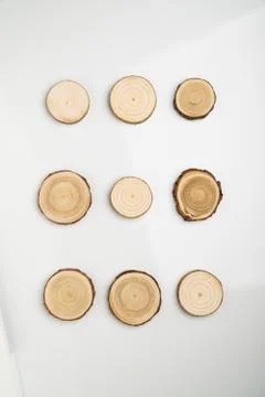 Pine tree cross-sections with annual rings on white background. Lumber piece Stock Photos