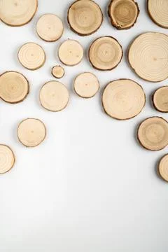 Pine tree cross-sections with annual rings on white background. Lumber piece Stock Photos