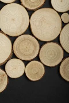 Pine tree cross-sections with annual rings on black background. Lumber piece Stock Photos
