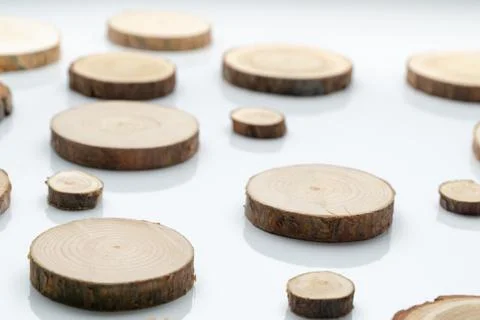 Pine tree cross-sections with annual rings on plane white surface. Lumber piece Stock Photos