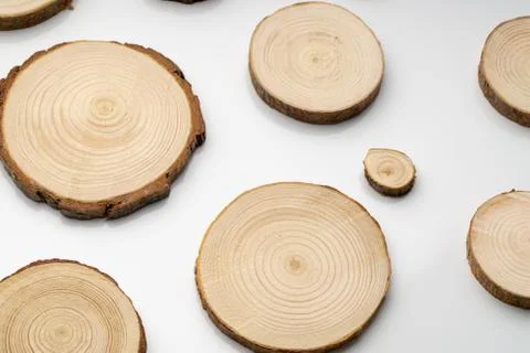 Pine tree cross-sections with annual rings on plane white surface. Lumber piece Stock Photos