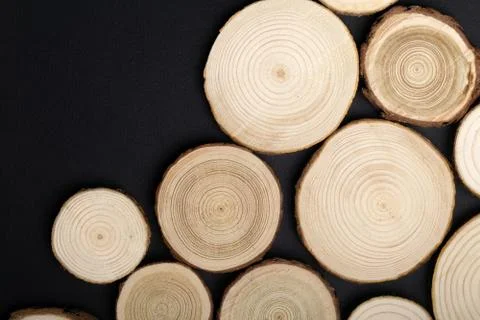 Pine tree cross-sections with annual rings on black background. Lumber piece Stock Photos
