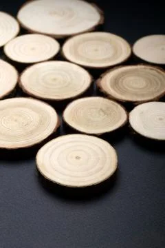 Pine tree cross-sections with annual rings on plane black surface. Lumber piece Stock Photos