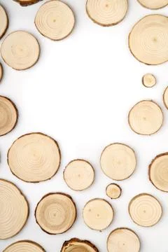 Pine tree cross-sections with annual rings on white background. Lumber piece Stock Photos