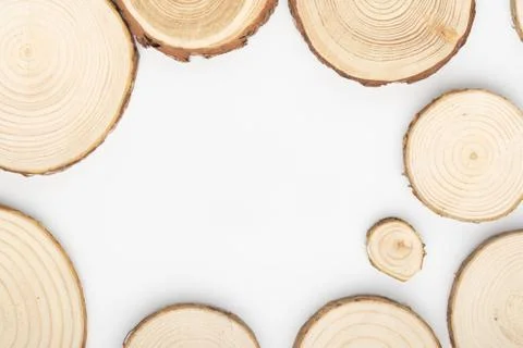 Pine tree cross-sections with annual rings on white background. Lumber piece Stock Photos