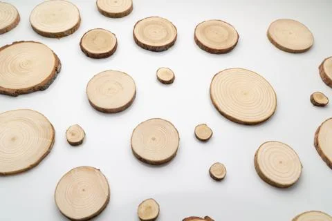 Pine tree cross-sections with annual rings on plane white surface. Lumber piece Stock Photos