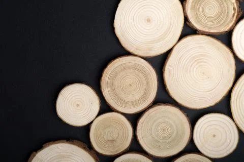 Pine tree cross-sections with annual rings on black background. Lumber piece Stock Photos