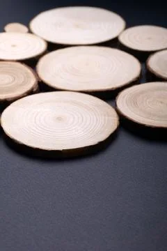 Pine tree cross-sections with annual rings on plane black surface. Lumber piece Stock Photos