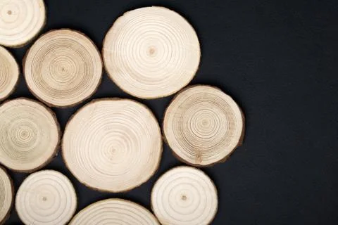 Pine tree cross-sections with annual rings on black background. Lumber piece Stock Photos