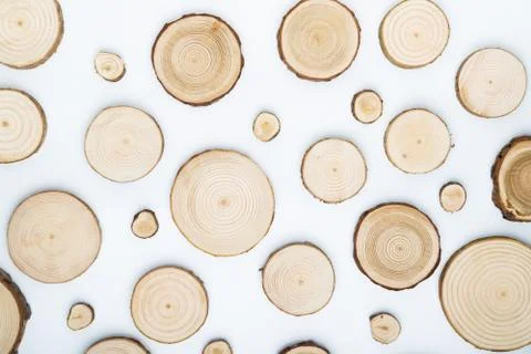 Pine tree cross-sections with annual rings on white background. Lumber piece Stock Photos