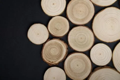 Pine tree cross-sections with annual rings on black background. Lumber piece Stock Photos