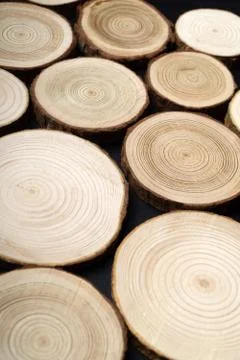 Pine tree cross-sections with annual rings on plane black surface. Lumber piece Stock Photos