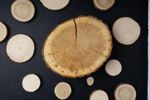 Pine tree cross-sections with annual rings on black background. Lumber piece Stock Photos