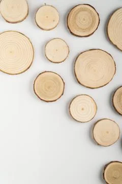 Pine tree cross-sections with annual rings on white background. Lumber piece Stock Photos