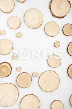 Pine tree cross-sections with annual rings on white background. Lumber piece Stock Photos