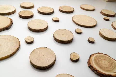 Pine tree cross-sections with annual rings on plane white surface. Lumber piece Stock Photos