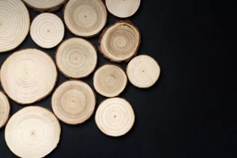 Pine tree cross-sections with annual rings on black background. Lumber piece Stock Photos