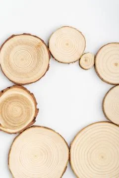 Pine tree cross-sections with annual rings on white background. Lumber piece Stock Photos