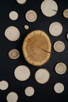 Pine tree cross-sections with annual rings on black background. Lumber piece Stock Photos