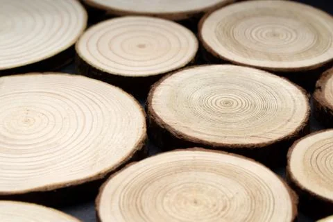 Pine tree cross-sections with annual rings on plane black surface. Lumber piece Stock Photos