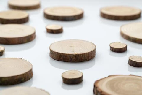 Pine tree cross-sections with annual rings on plane white surface. Lumber piece Stock Photos