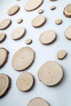 Pine tree cross-sections with annual rings on plane white surface. Lumber piece Stock Photos