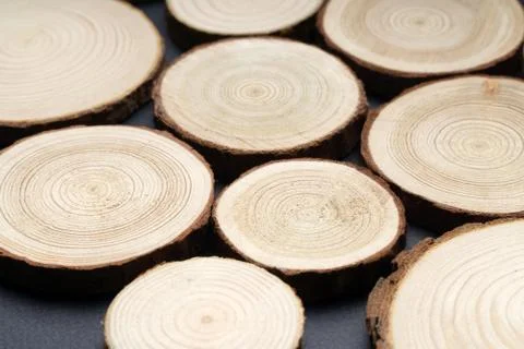 Pine tree cross-sections with annual rings on plane black surface. Lumber piece Stock Photos